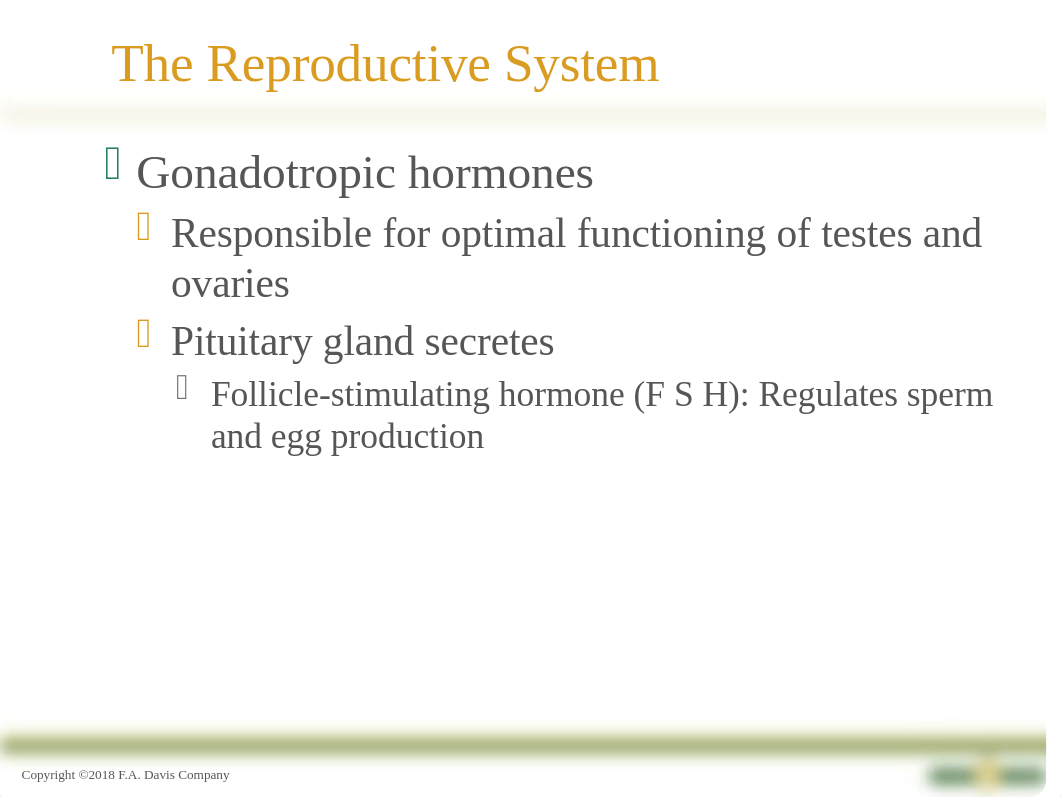 Chapter 20 - Reproductive and Urinary System Medications.pptx_dls12lrwgko_page4