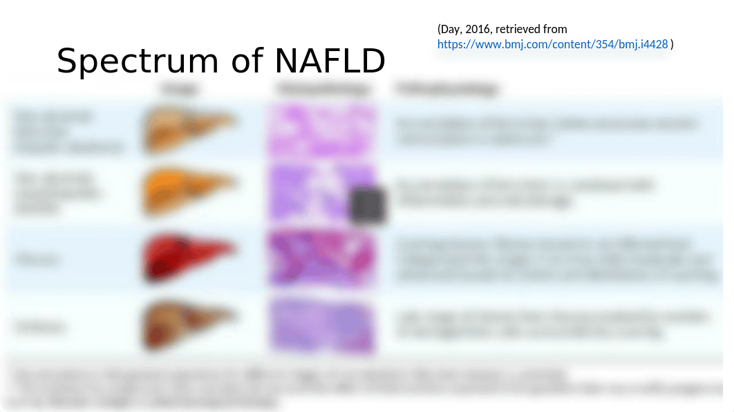 Non-Alcoholic Fatty Liver Disease.pptx_dls243g8kqd_page3