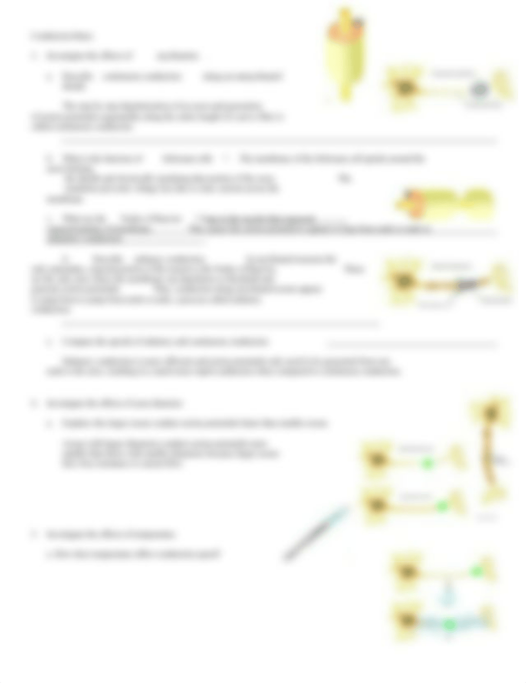 Propagation of nerve impulses.doc_dls7cxxgni9_page2