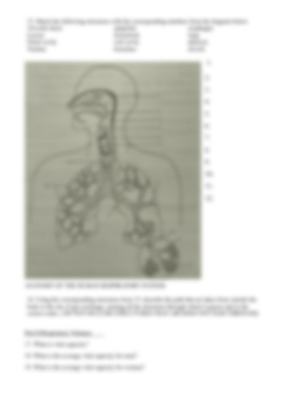 SQ8-Respiration study questions.docx_dls9xcybcwv_page2