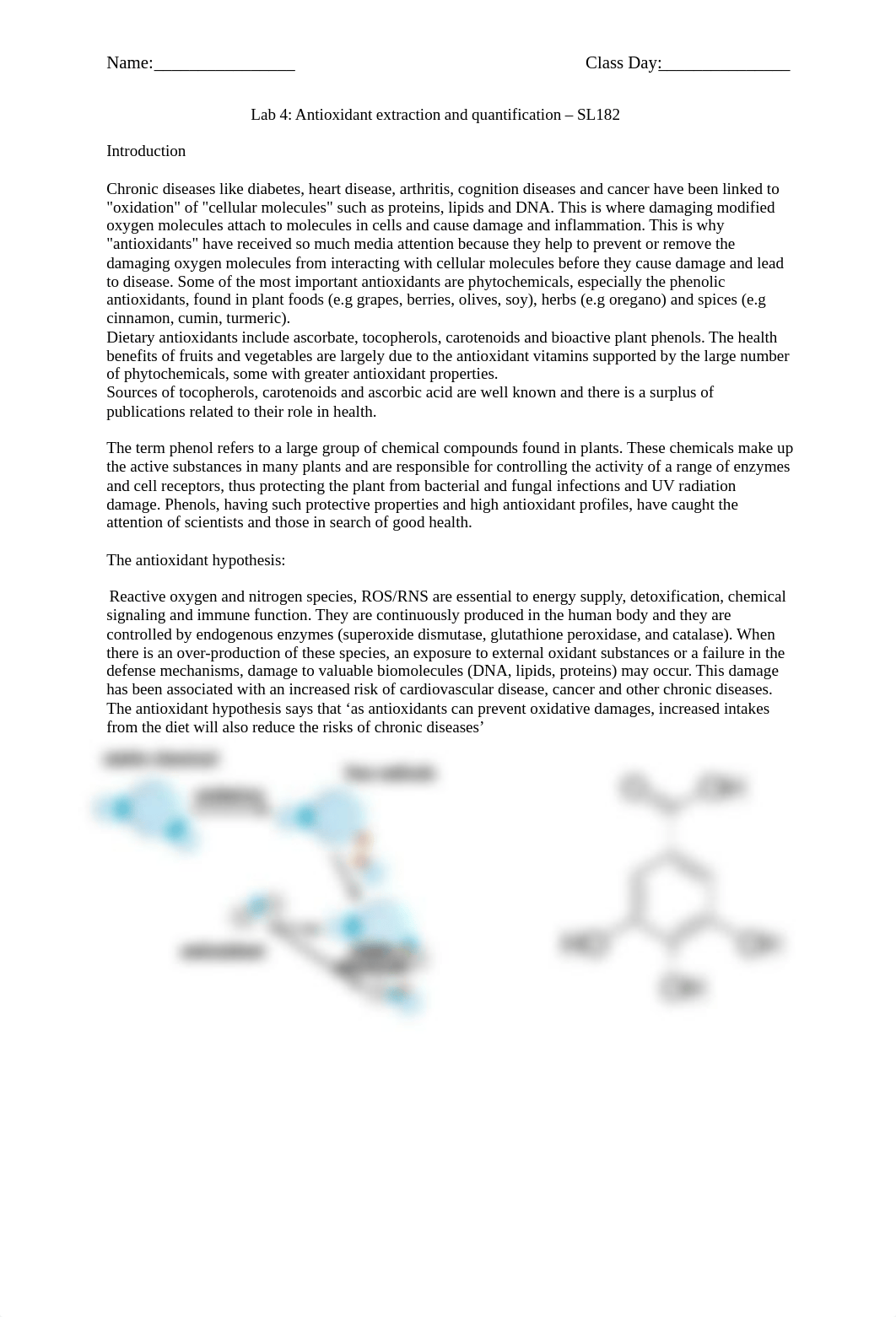 4 Antioxidant Lab Chem 2 SP18.docx_dlsaxfutl0v_page1