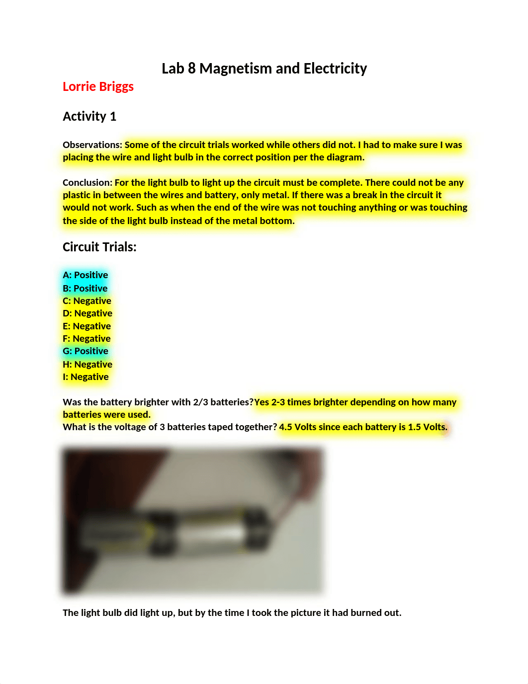 Lab 8 Magnetism and Electricity.docx_dlseelx75za_page1