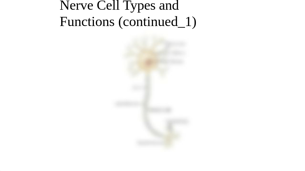 Neuro PP all in one.pptx_dlsp1xvioy0_page5