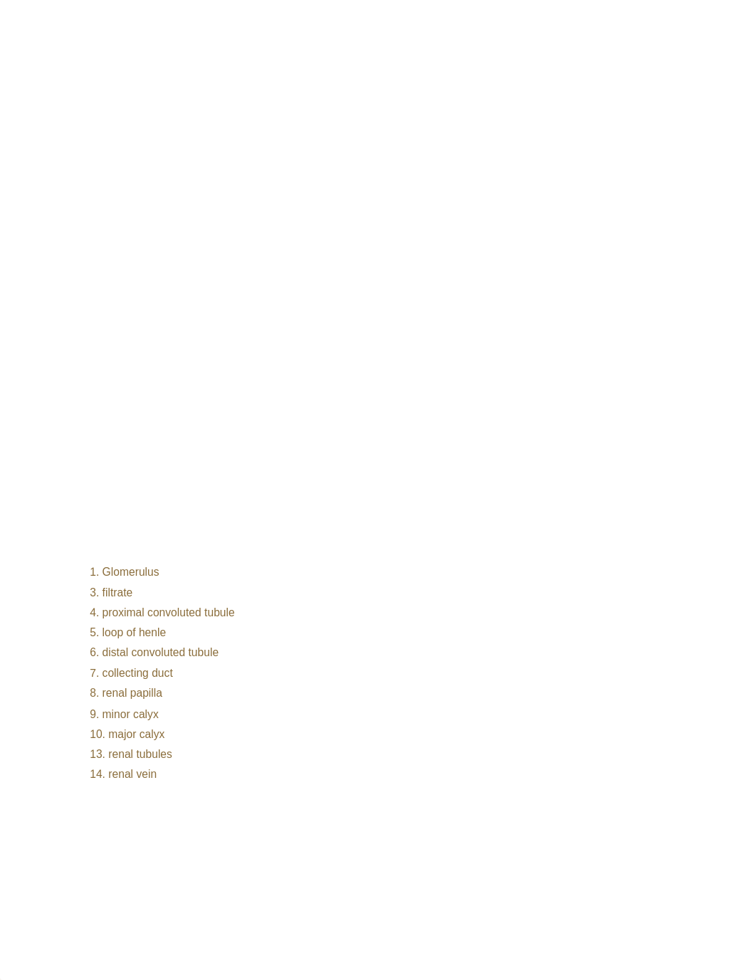 urine formation concept map.doc_dlsq0w3fhih_page1