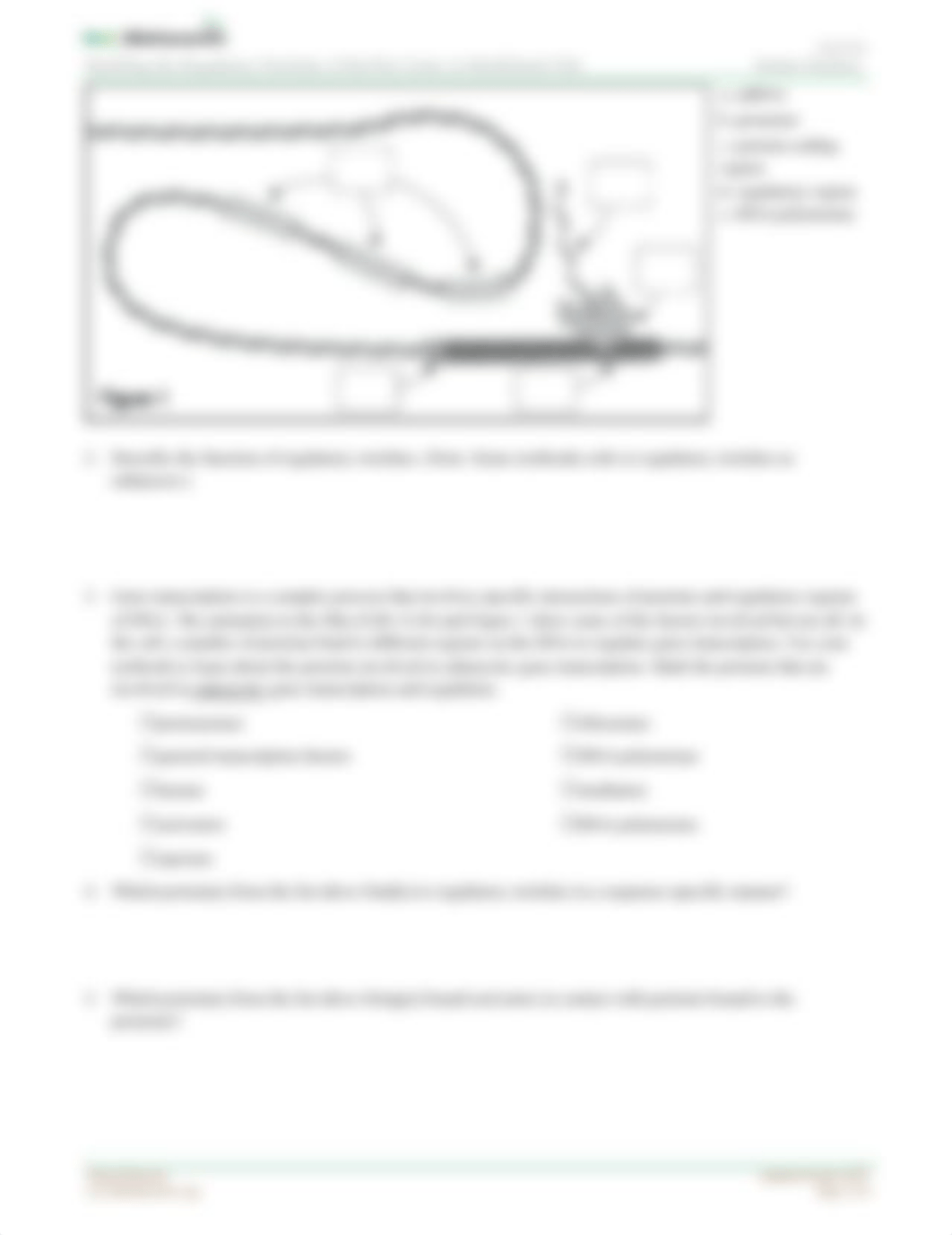 Modeling PITX1 Gene HO (1).pdf_dlsy17xvao1_page2