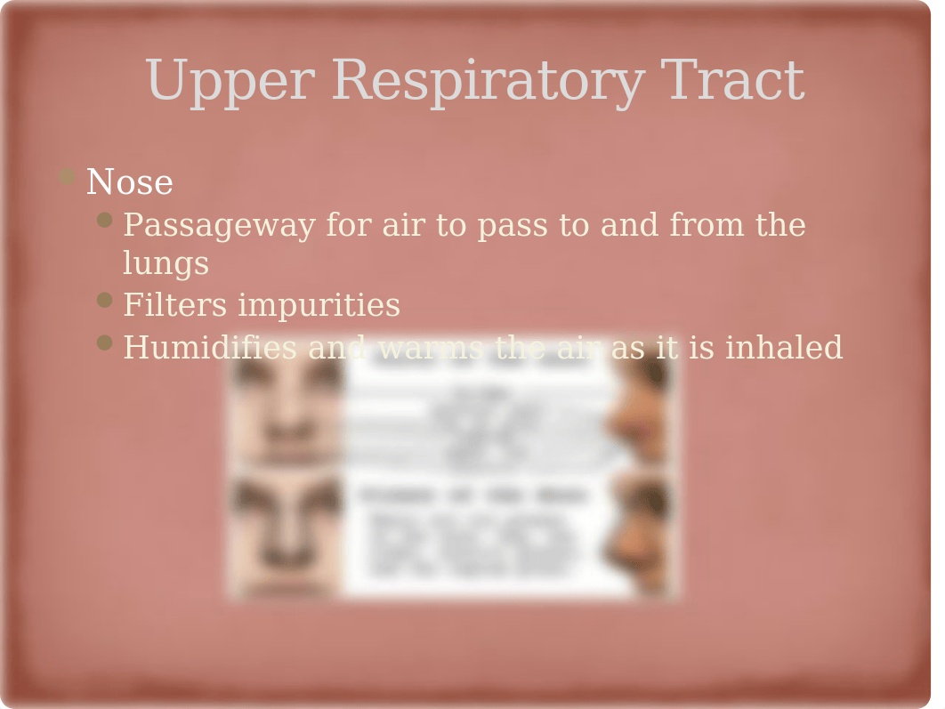 Chapter 20 Assessment of Respiratory Function.pptx_dlsybpdty1q_page4