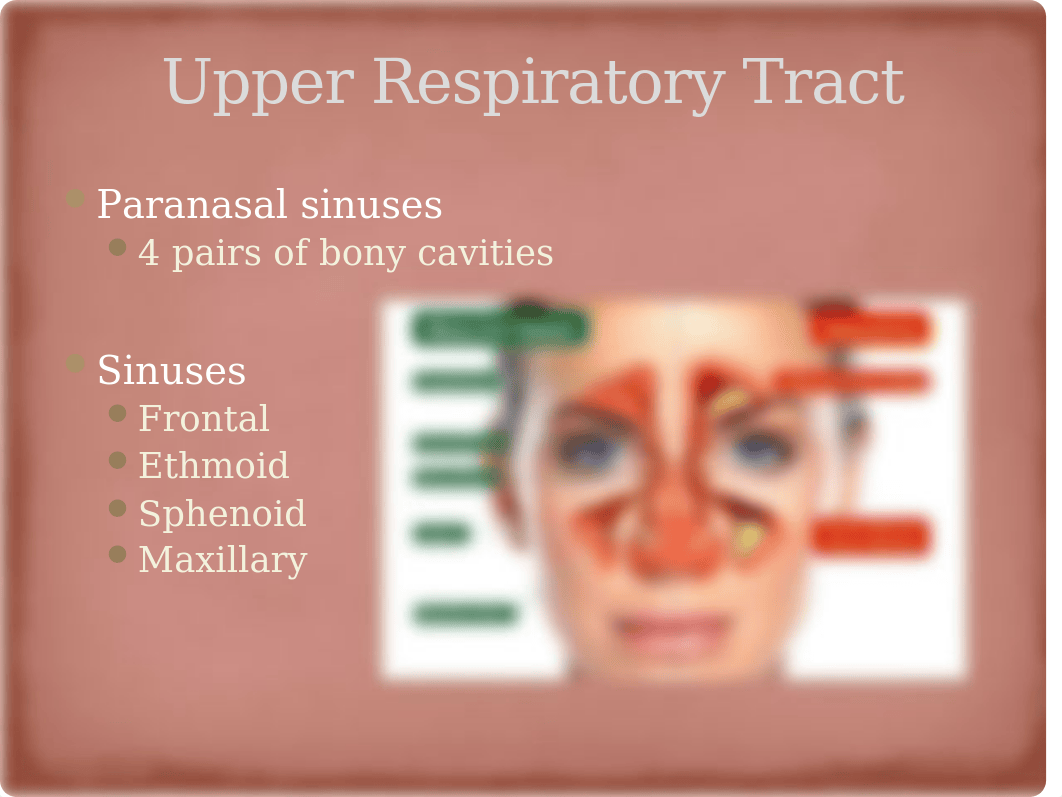 Chapter 20 Assessment of Respiratory Function.pptx_dlsybpdty1q_page5