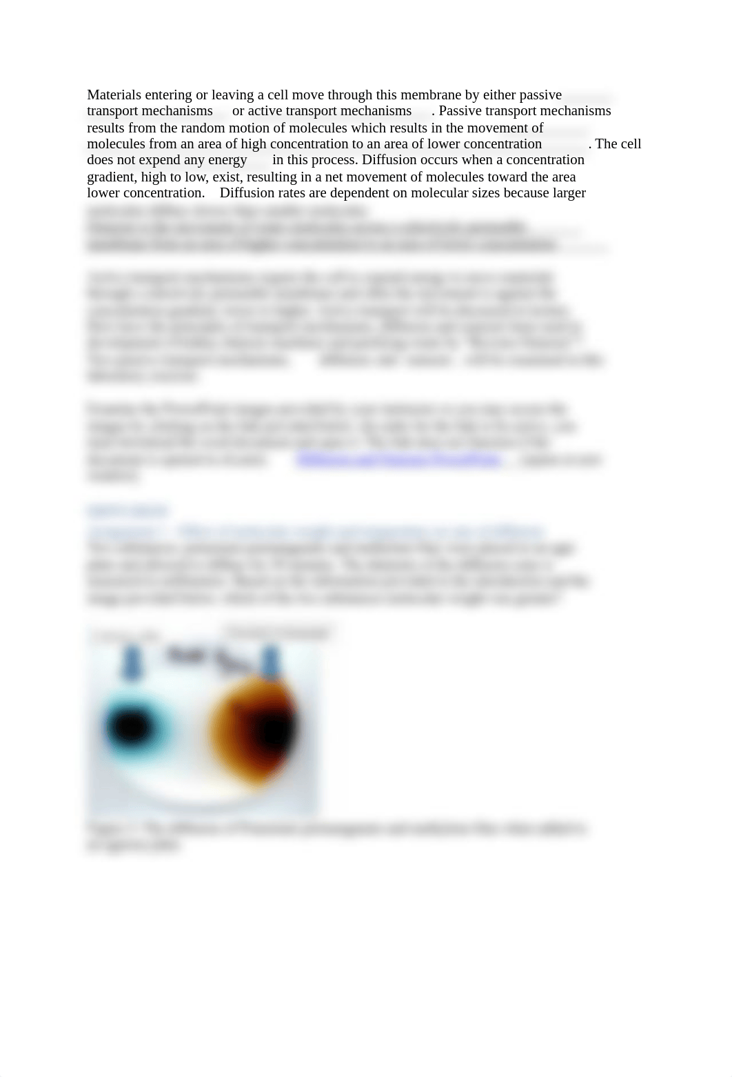 Exercise 4- Diffusion and Osmosis ONLINE.docx_dlszl1va2f7_page2