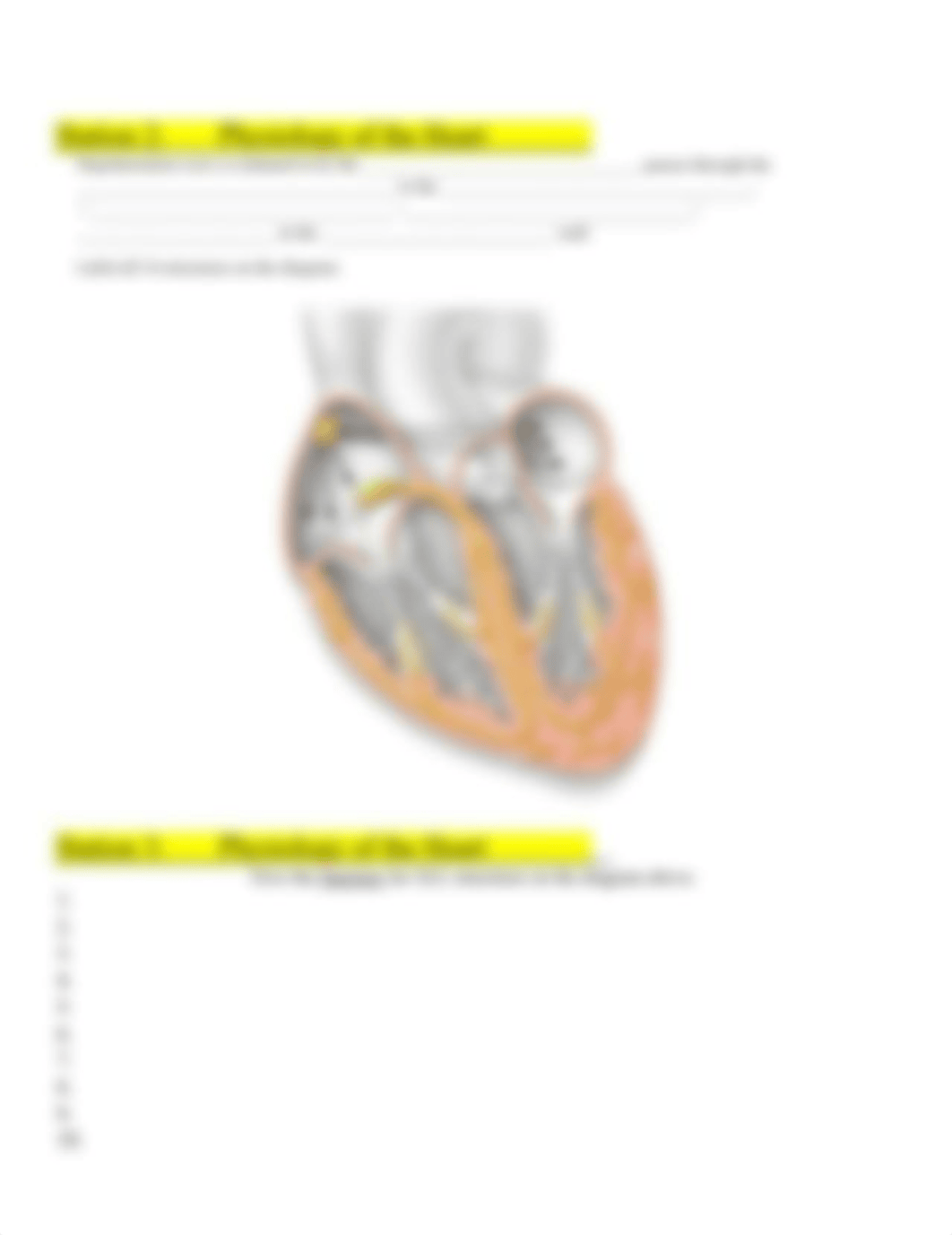 Electrical Activity of the Heart Stations Student Worksheet.docx_dlt0jhlhsb1_page2