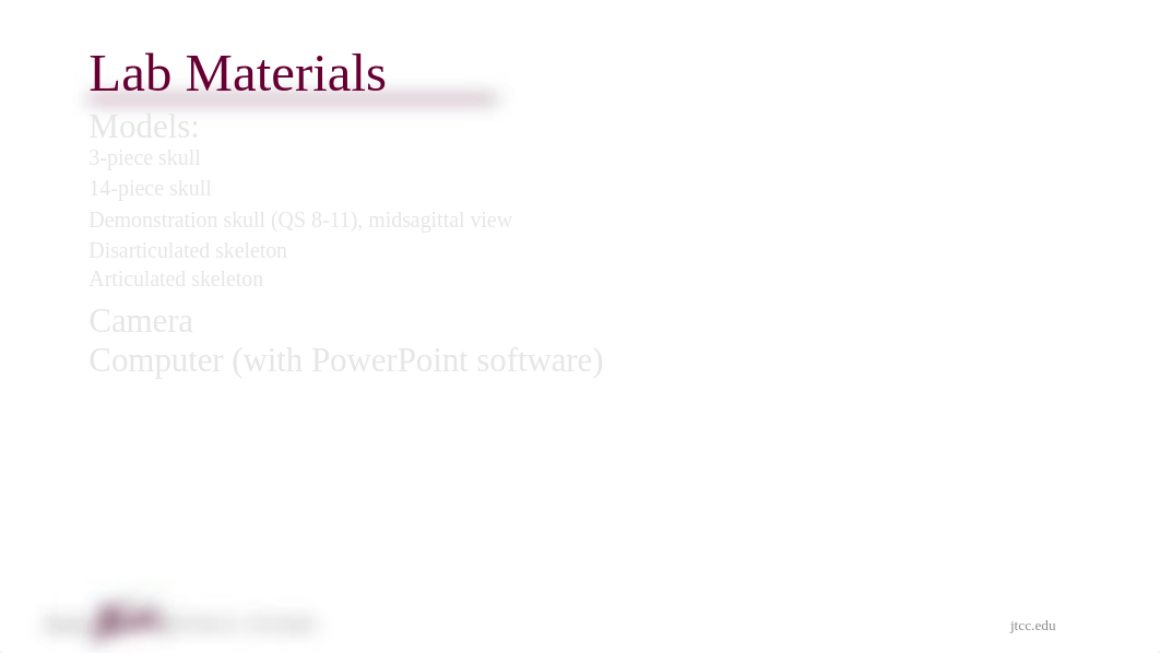 Chapter 8 Lab 1 - Axial Skeleton.pptx_dlt0pksc6ub_page2