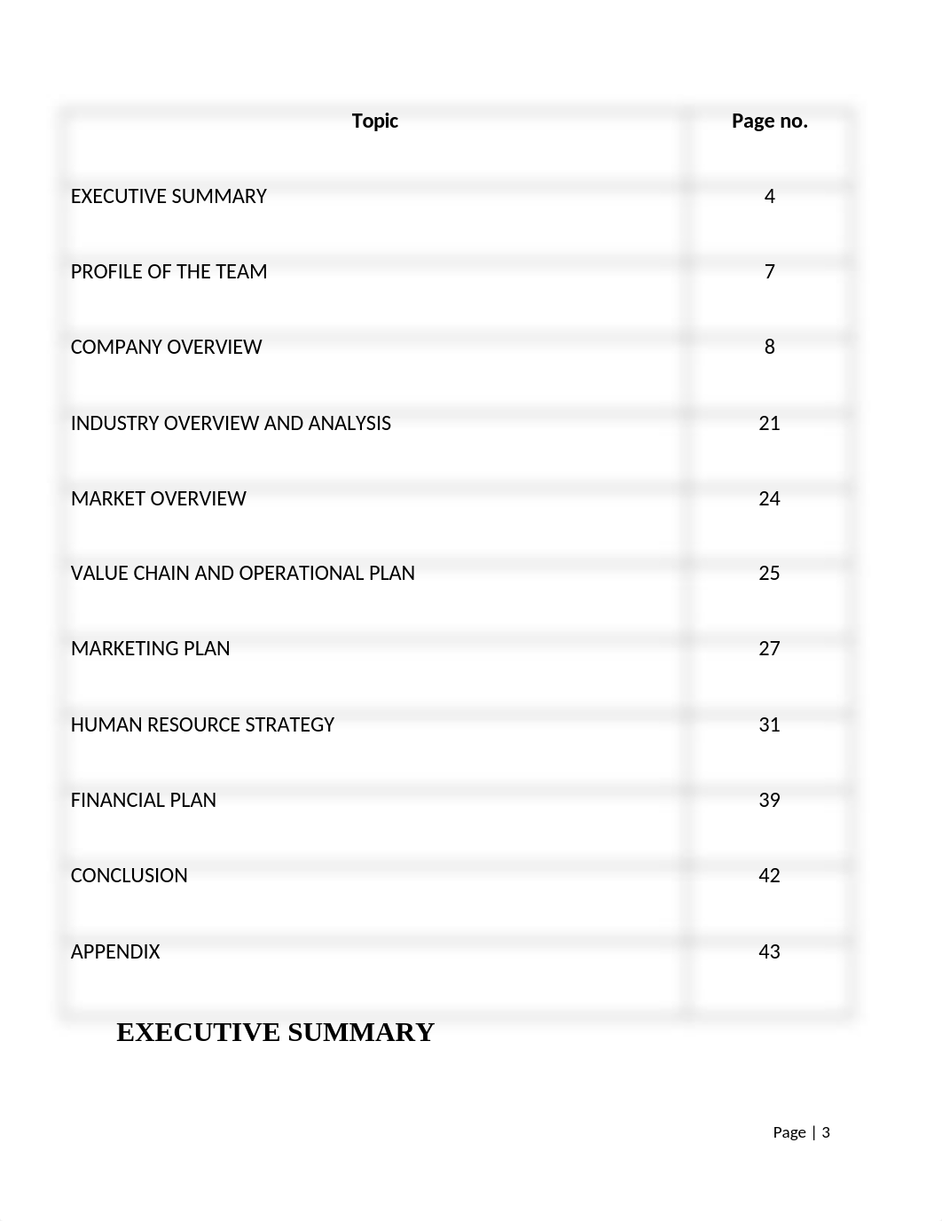 92716118-Business-Plan-of-Budget-Airline-Company.docx_dlt5fn91rov_page3