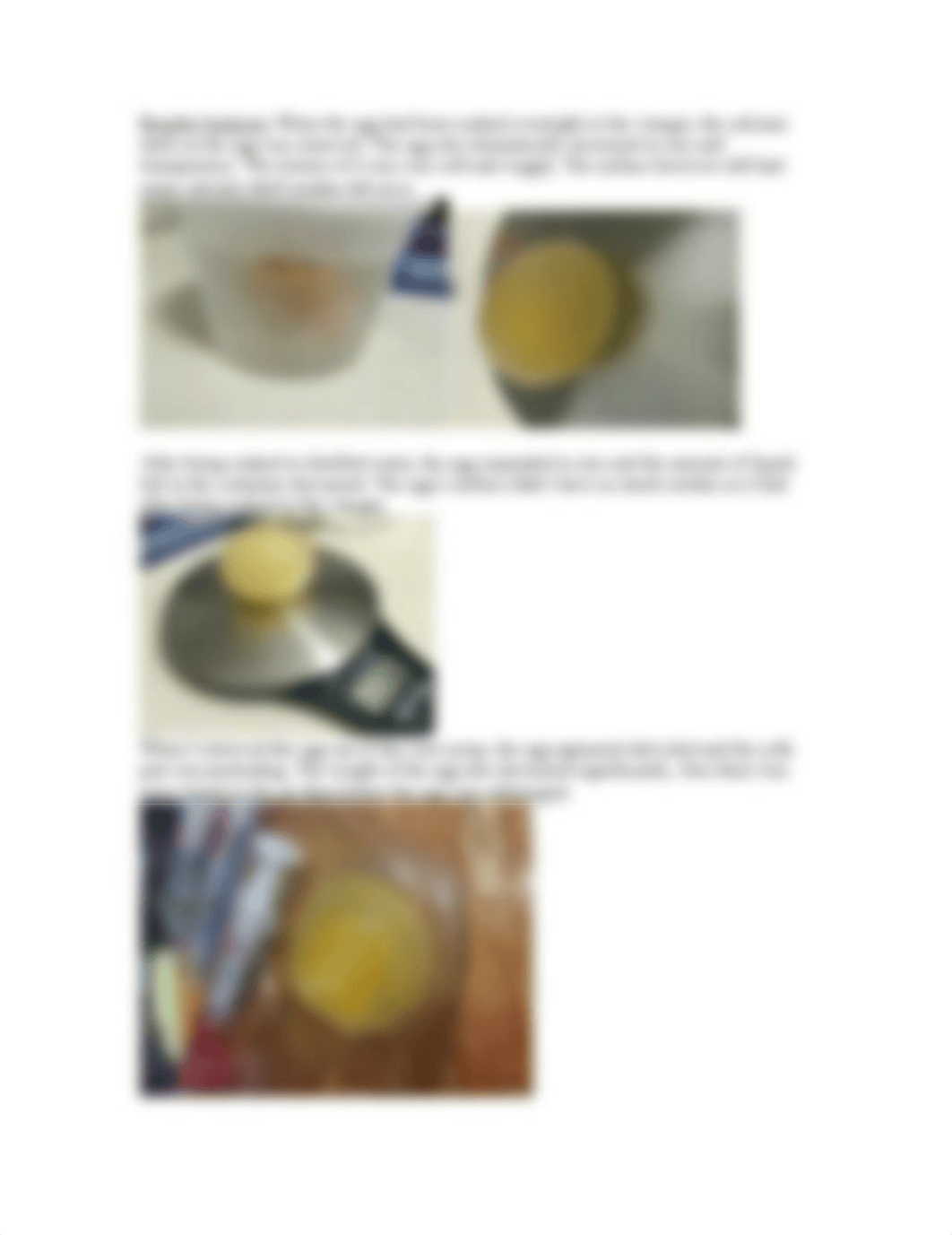 Egg Diffusion Lab_dlt5ly4jsi1_page2