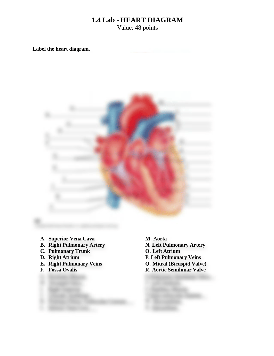 W1_HEART-DIAGRAM_WORKSHEET (1).docx_dltatm49zp2_page1