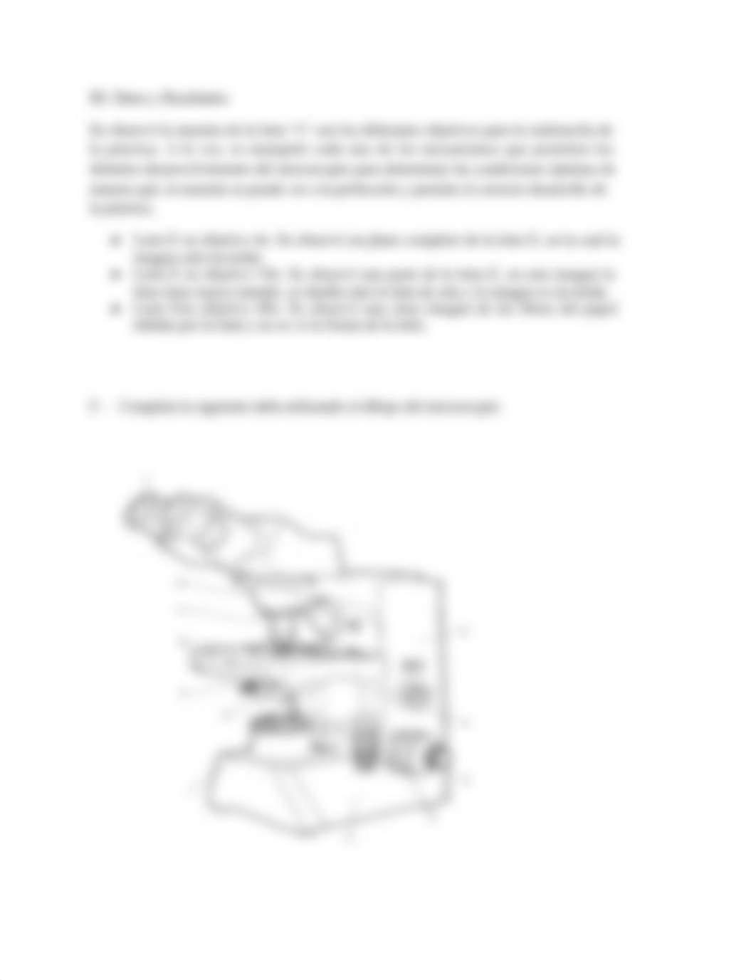 Informe de Laboratorio # 2 - Microscopio(1).docx_dltqos5c36c_page2