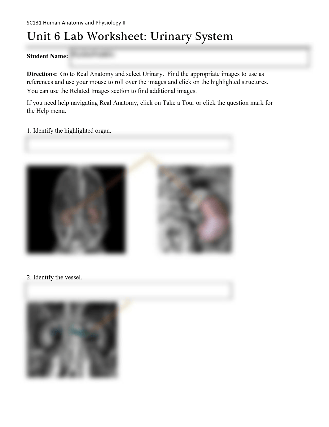 SC131 Unit 6 Assignment_2 Lab Worksheet - Urinary_dltxxac8sqe_page1