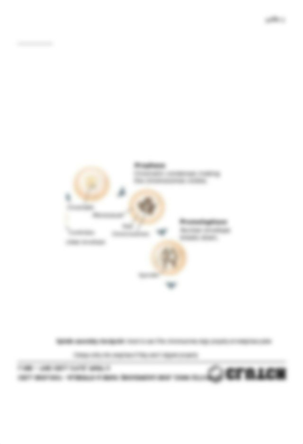 cell-biology-16-essential-cell-biology-alberts-bray-boudreau-biol-230w-227310-992-l18b-the-cell-cyle_dlu3lq6diy9_page3