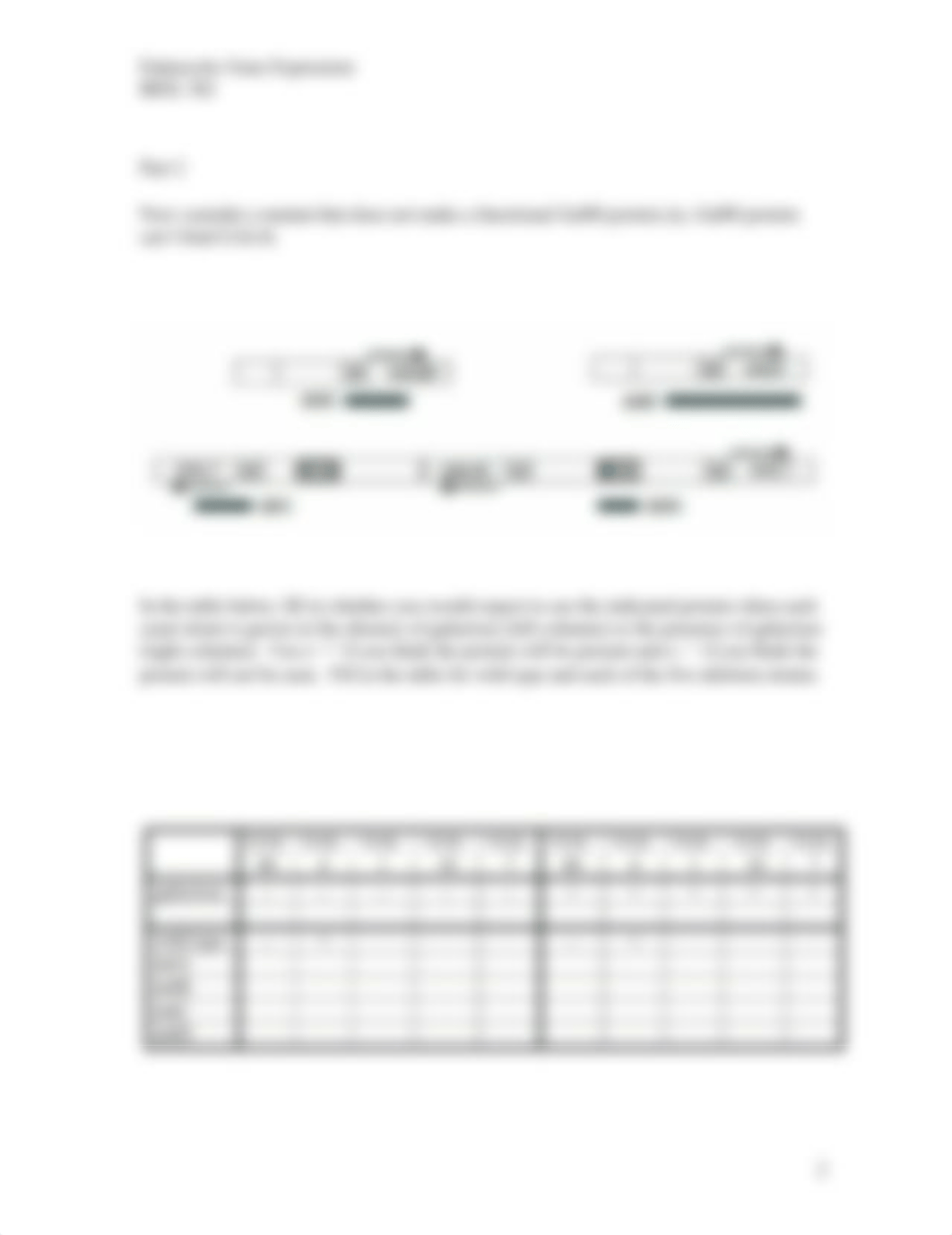 Gal4 worksheet F2016.docx_dlu6ayxbyp4_page2