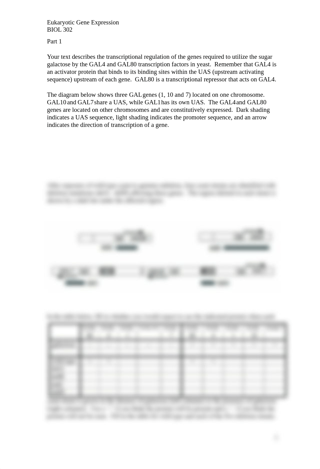 Gal4 worksheet F2016.docx_dlu6ayxbyp4_page1