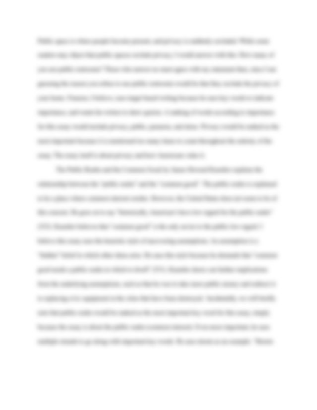 essay two_dluizi4575p_page3