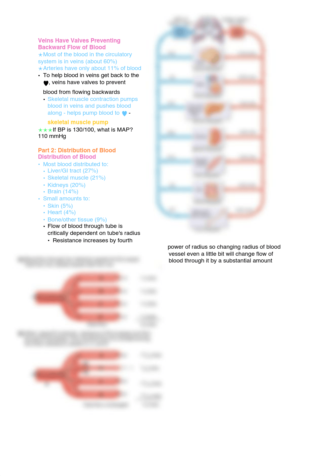 Exam 3 Physio.pdf_dlunvi47sv0_page3