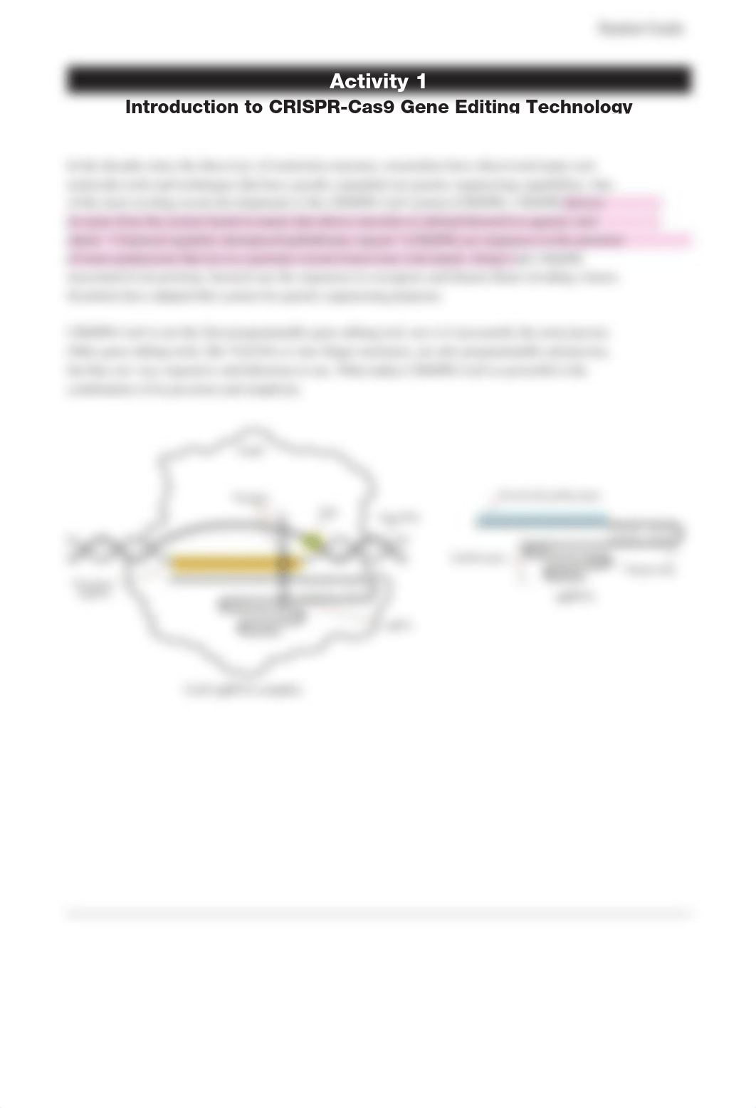 CAS 9 Lab.pdf_dlurmlb053r_page3