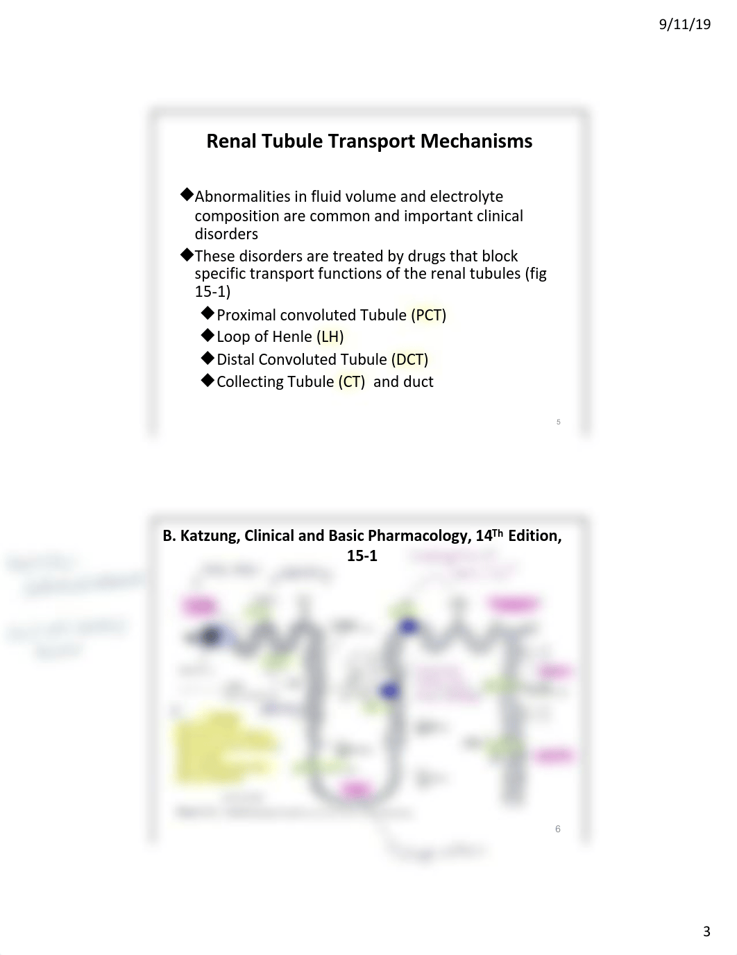 PHM411-Diuretics #3.pdf_dlux3muacf3_page3