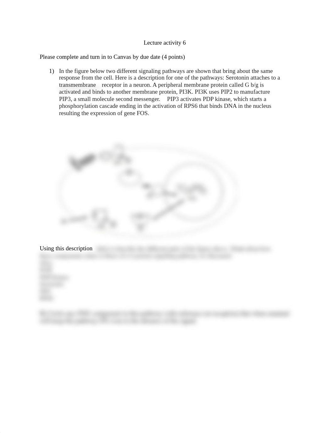 Lecture  activity 6_Spr22.docx_dlvbc0qdus8_page1