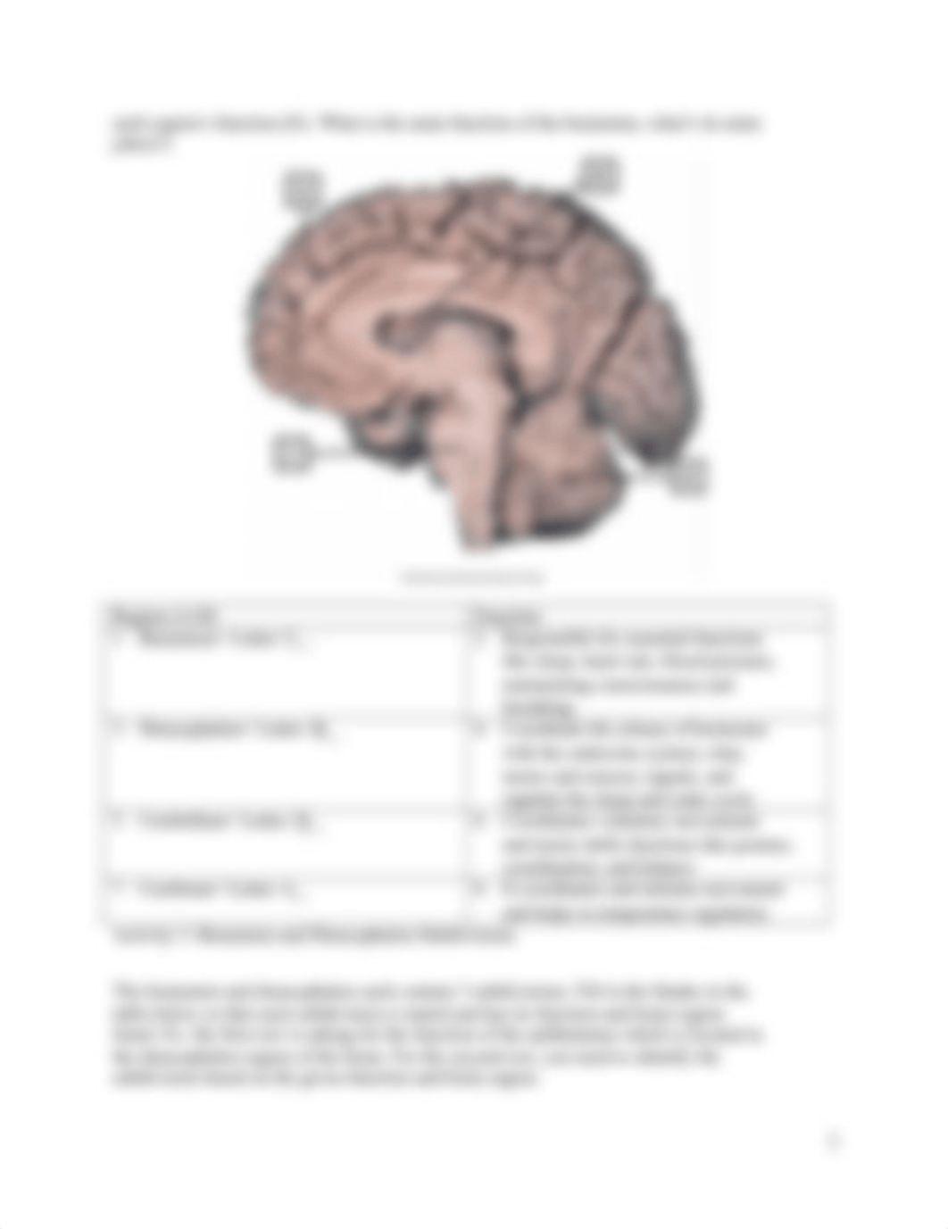 Lab8_Brain.docx_dlvmza2o7wk_page2