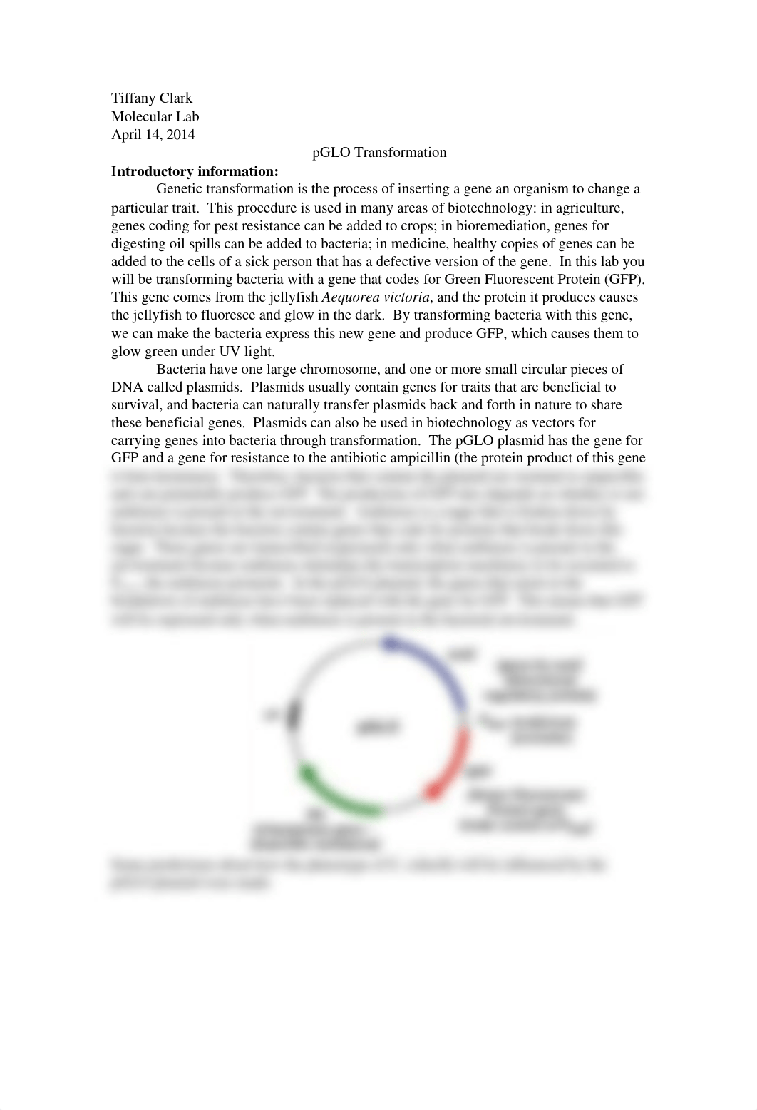 pGLO, genetic transformation lab_dlvo9s16t78_page1