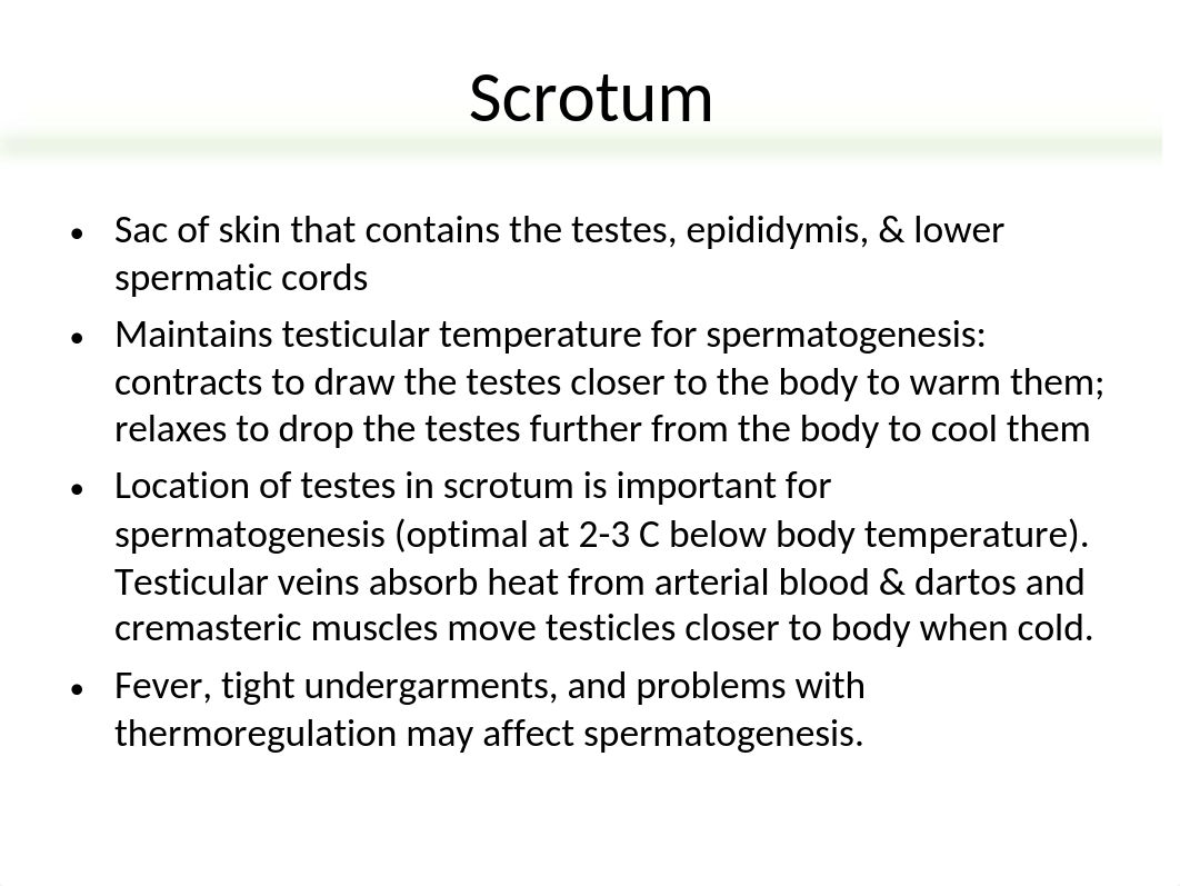 Chap 39 Disorders of the Male Genitourinary System NURS 304.ppt_dlw19dwotz9_page4