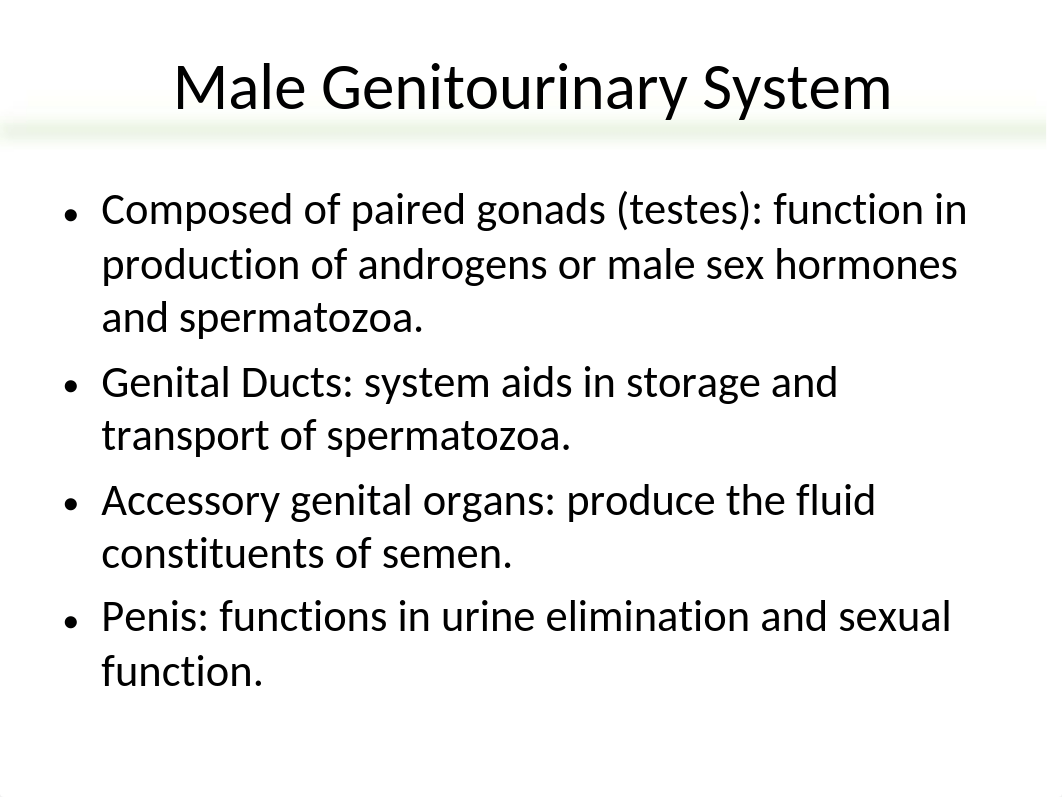 Chap 39 Disorders of the Male Genitourinary System NURS 304.ppt_dlw19dwotz9_page2