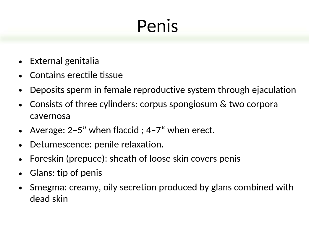 Chap 39 Disorders of the Male Genitourinary System NURS 304.ppt_dlw19dwotz9_page3