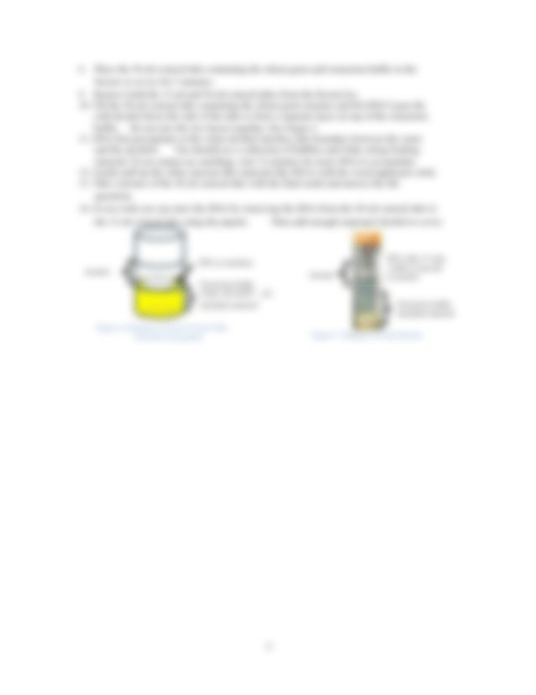 Lab 8 - DNA Isolation and Gel Electrophoresis.pdf_dlw6yghqtwn_page3