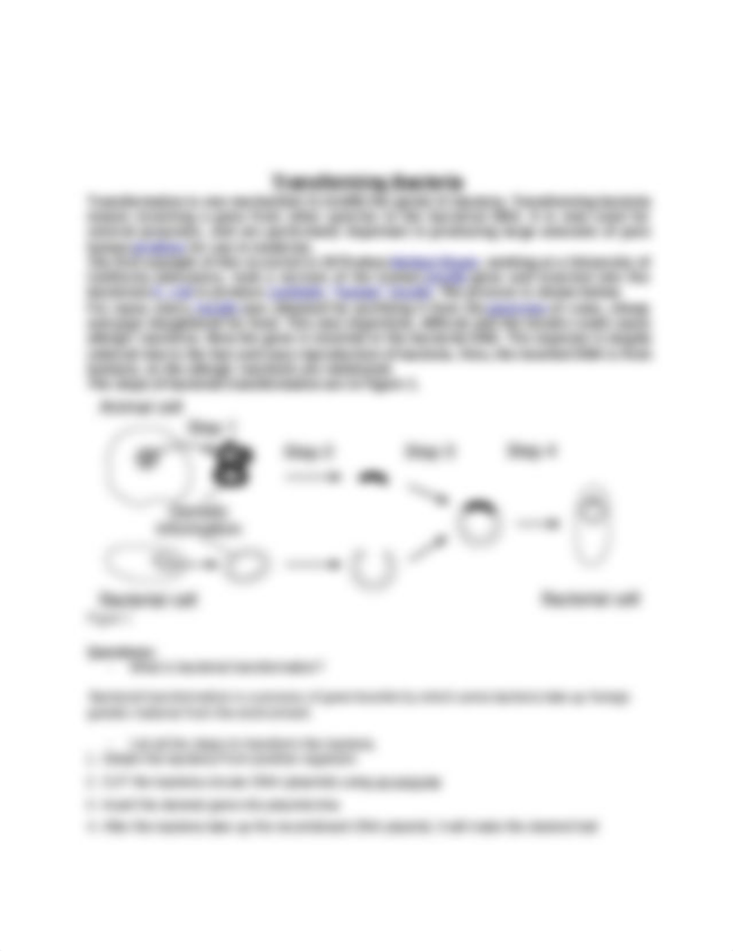 Copy_of_GeneticEngineeringLab_dlwek8rsrz7_page2