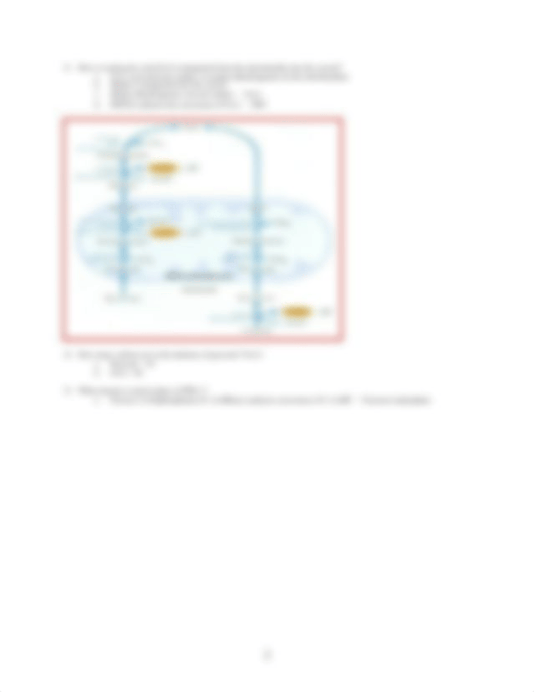 Biochem - Gluconeogenesis_dlwgrmod2e5_page2