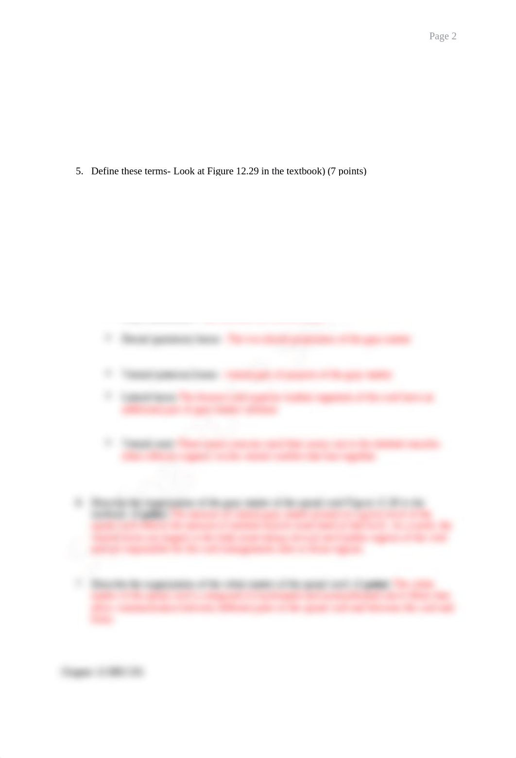 Chapter 13- The Peripheral Nervous System20192020 - Completed Evan Del Rio (1).docx_dlwkodts50v_page2