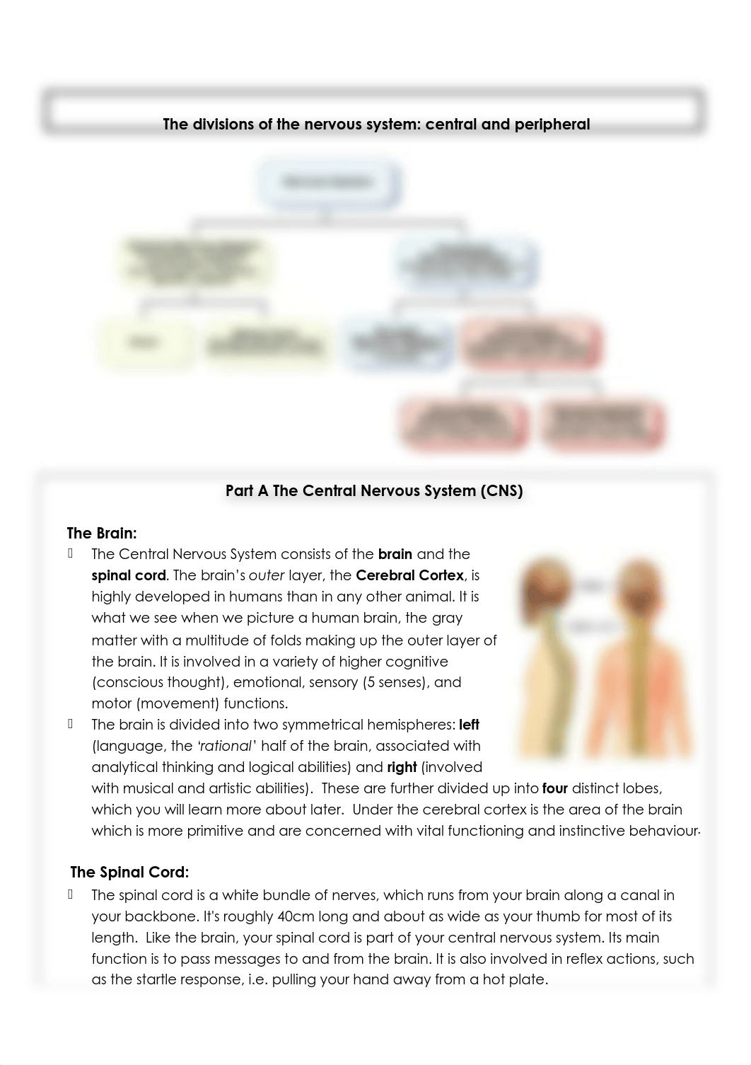 biopsychology booklet.pdf_dlwnv3dae1n_page2