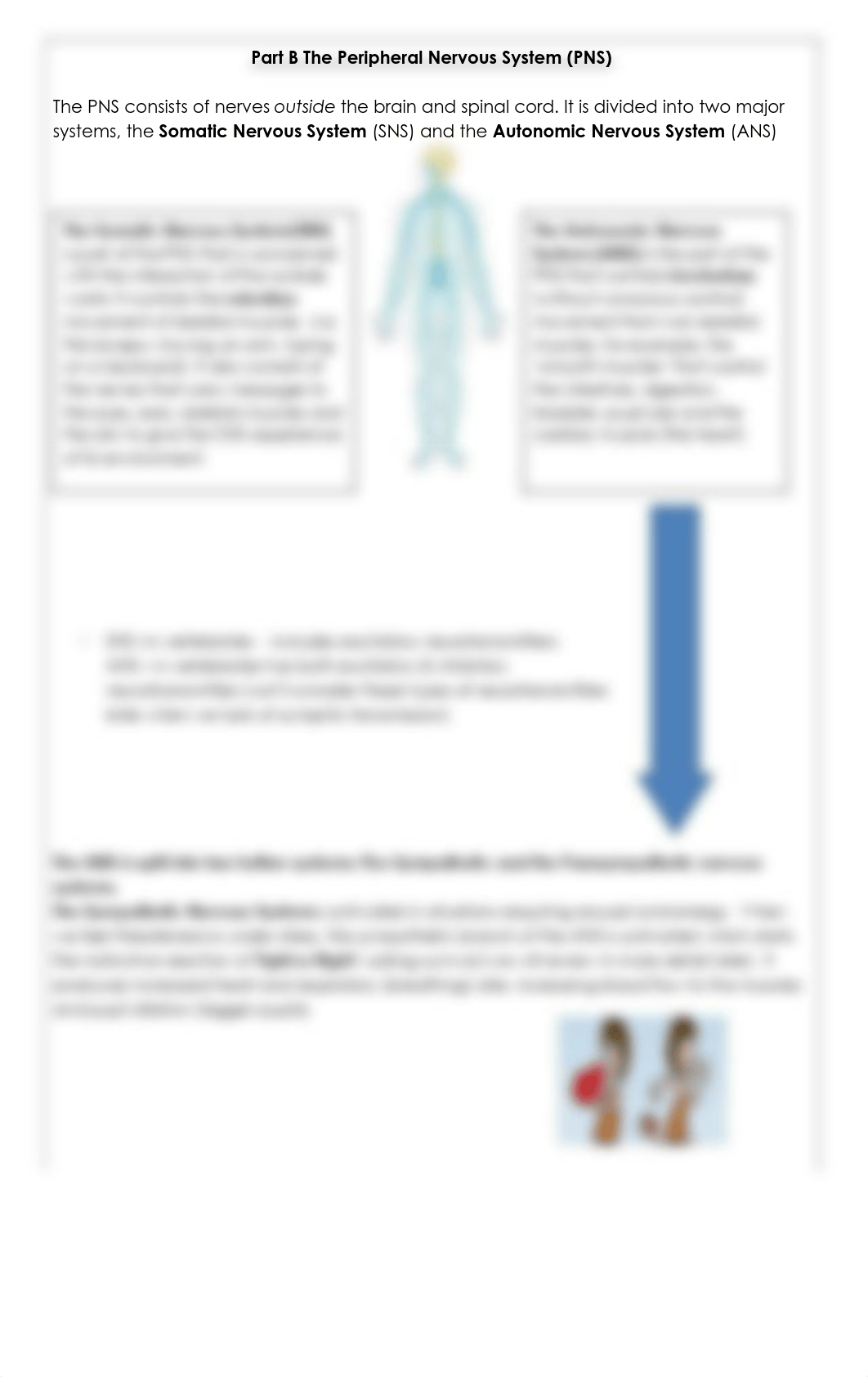 biopsychology booklet.pdf_dlwnv3dae1n_page3