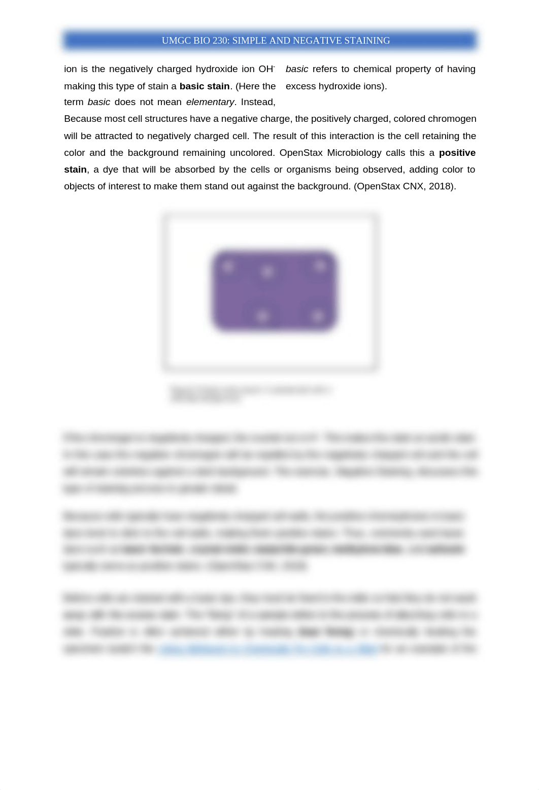 BIOL 230 - Simple and Negative Staining.pdf_dlwtnjnhayd_page2