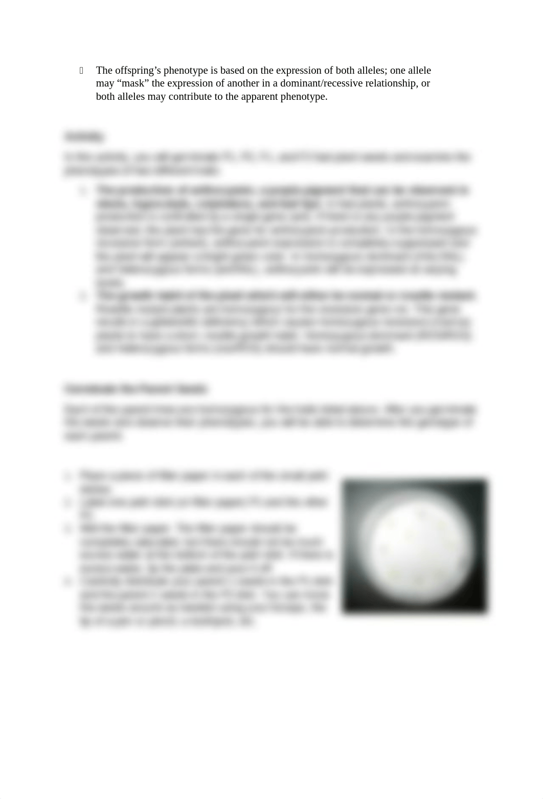 Fast plant lab-4.doc_dlwtrlnzts7_page2