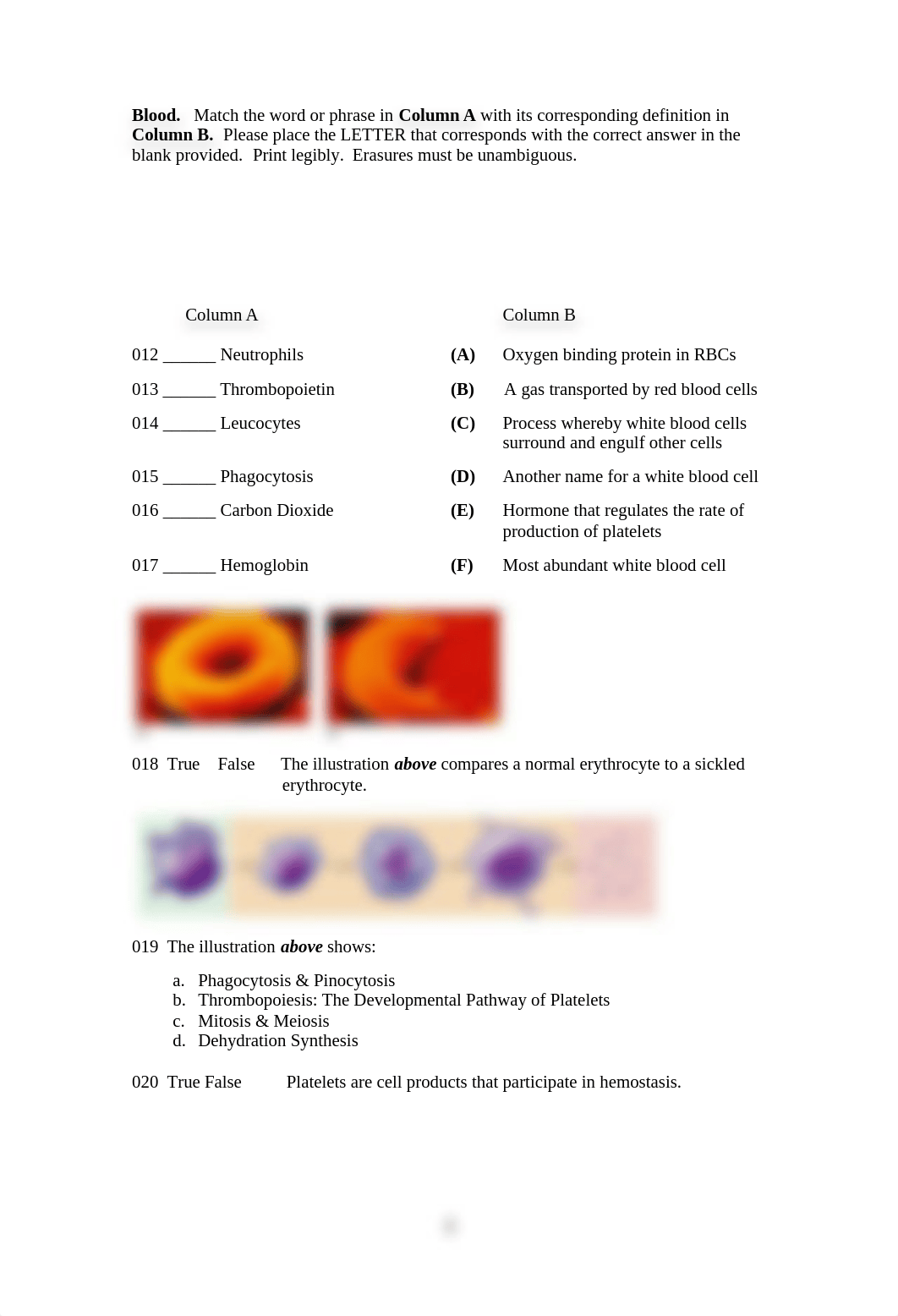 RCSJ BIO 106 - 53 (SPRING 2021) HUMAN ANATOMY & PHYSIOLOGY II  Comp Exam I (BOOK C) (Intro to BLOOD,_dlwtxjucyir_page3