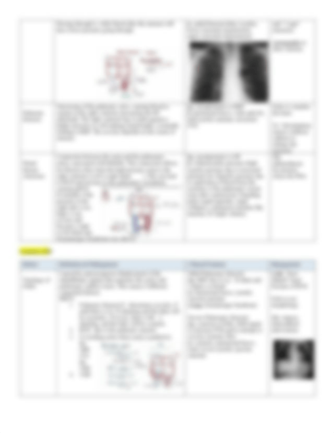 Congenital Heart Disease.pdf_dlwwuv409qu_page2