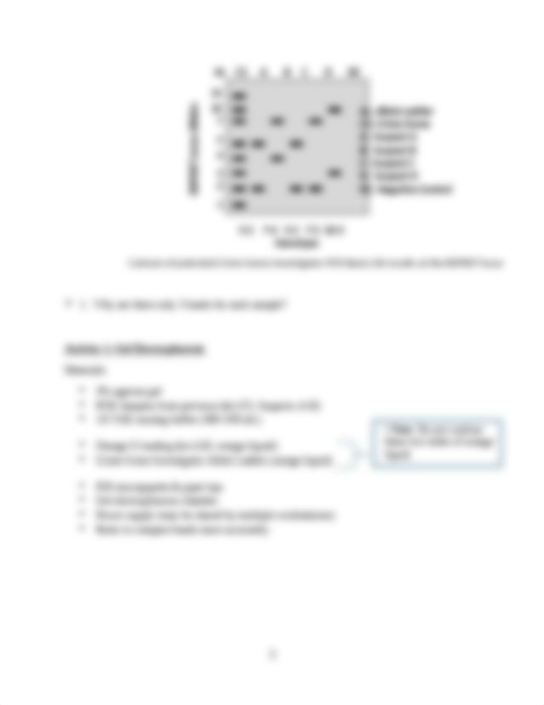 Bio 204L Manual_Ch.7_PCR2 Gel Electrophoresis_FA20.docx_dlx04dq47ao_page3