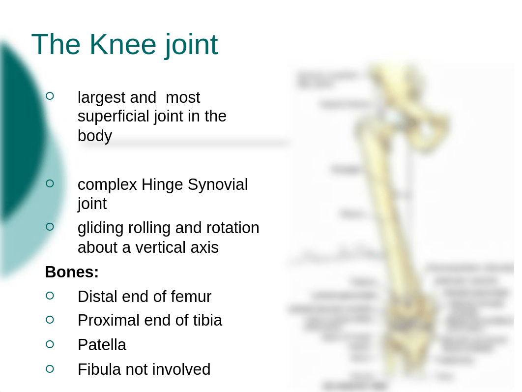 08. The Knee Joint.pptx_dlx79lerpvk_page3