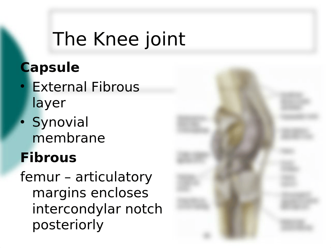 08. The Knee Joint.pptx_dlx79lerpvk_page5