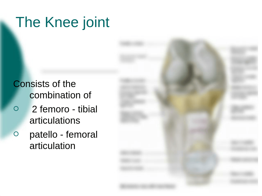 08. The Knee Joint.pptx_dlx79lerpvk_page4