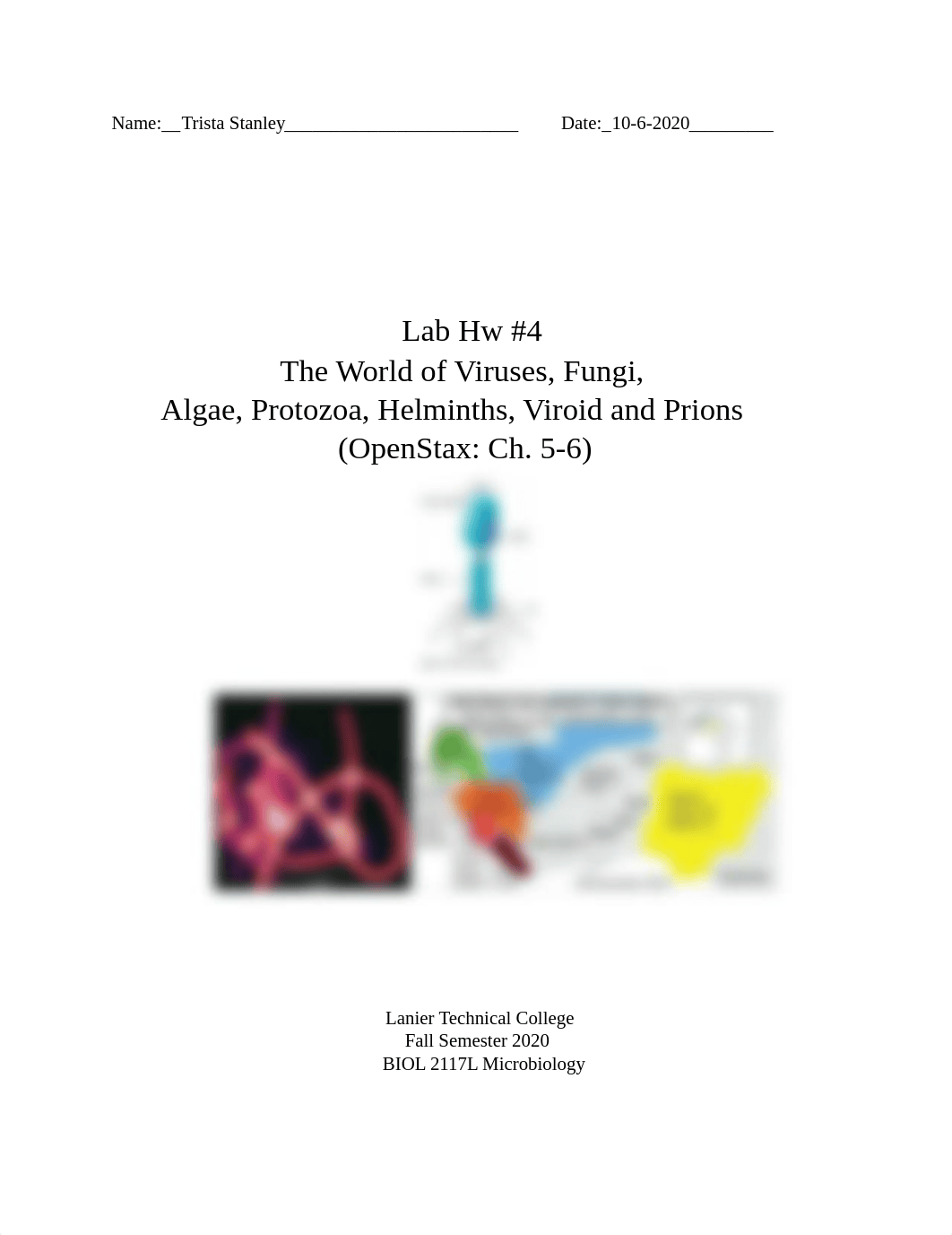 BIOL 2117L_Lab Hw #4_Virus,Prion,Algae,Proto etc._Fall_2020.pdf_dlxcdmpslzr_page1