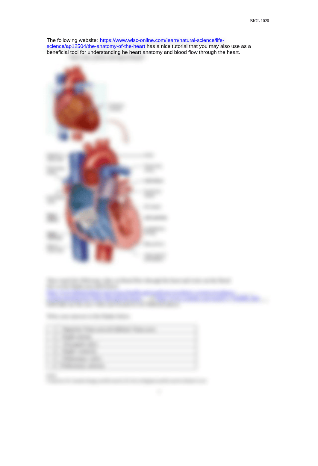 Circulatory Lab Report revised (1.docx_dlxibdtqkzz_page2