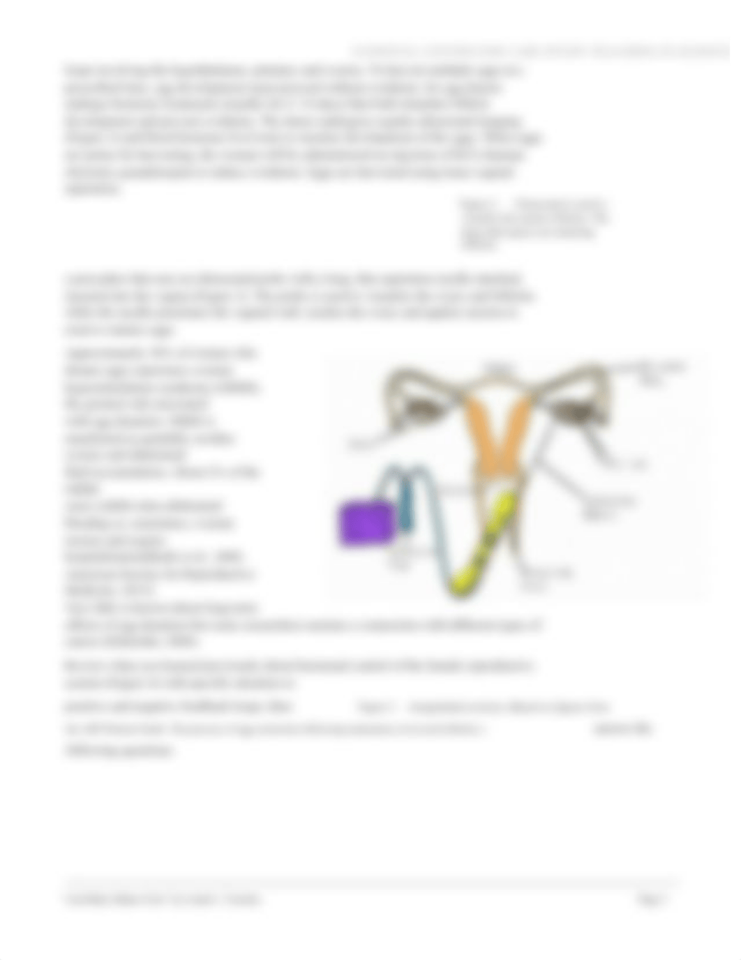 gestational_surrogacy.docx_dlxlrkusjk6_page3