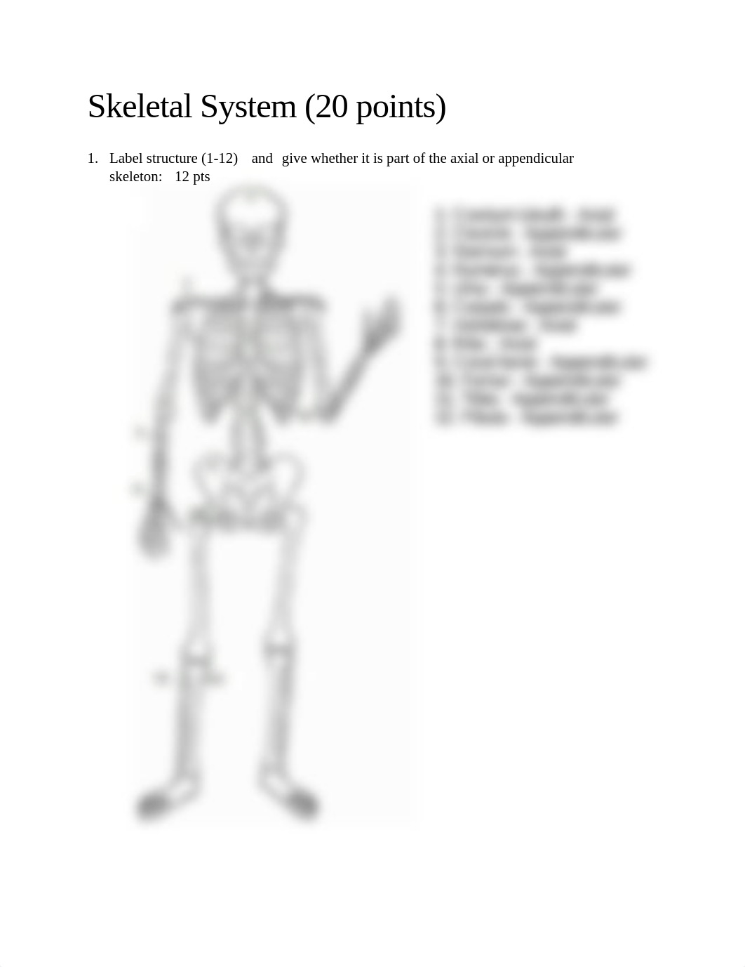 SkeletalSystem assignment.pdf_dlxlzba23u2_page1